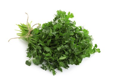 Bir grup taze kişniş beyaz üzerine izole edilmiş.