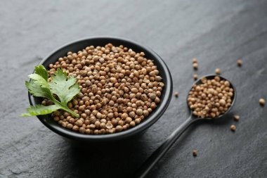 Kase içinde kişniş tohumları, kaşık ve taze kişniş yaprakları koyu dokulu masa, yakın çekim