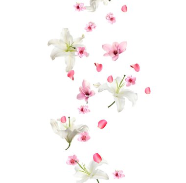 Beyaz arka plana düşen güzel çiçekler ve yapraklar