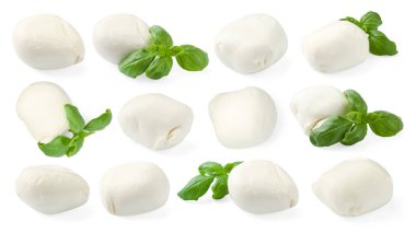 Mozzarella ve fesleğen beyaza izole edilmiş. İtalyan peyniri