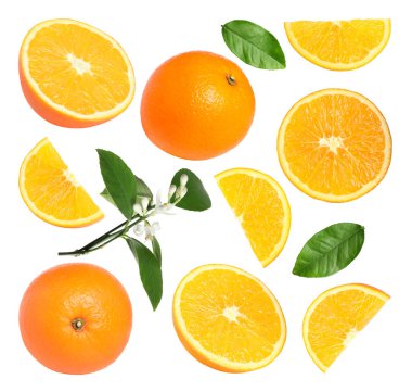 Taze portakallar, yeşil yapraklar ve çiçekler beyaz üzerine izole edilmiş.