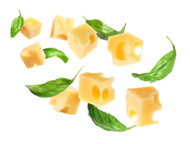 Peynir küpleri ve yeşil fesleğen yaprakları beyaz arka planda uçuşuyor