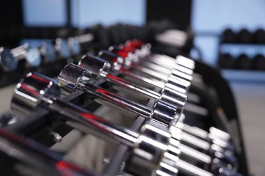 Spor salonunda bir sürü metal dambıl var.