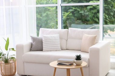 Şık bir kanepe ve oturma odasındaki diğer mobilyalar. İç tasarım