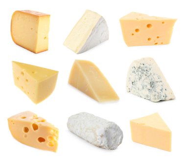 Beyaza izole edilmiş farklı peynir türleri.