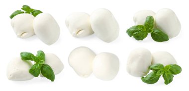 Mozzarella ve fesleğen beyaza izole edilmiş. İtalyan peyniri