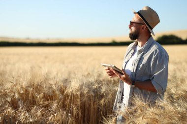 Olgun buğday tarlasında tabletli çiftçi açık havada, metin için alan
