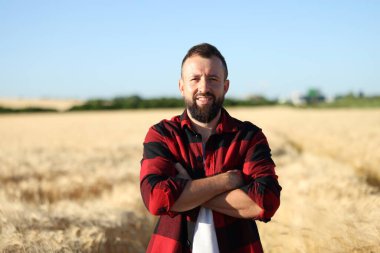 Olgun buğdaylı tarlada çiftçi