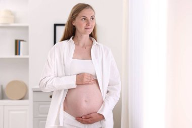 Evinde karnına dokunan güzel hamile bir kadın. Metin için boşluk