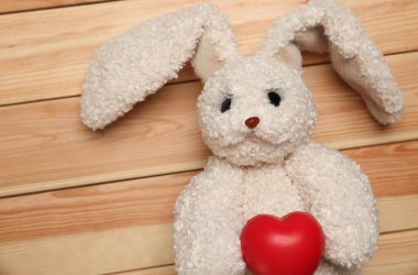 Pediatri konsepti. Oyuncak tavşan ve kalp ahşap arka planda, üst manzara