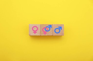 Seks eğitimi. Sarı arka planda dişi ve erkek cinsiyet sembolleri olan tahta küpleri.