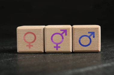 Seks eğitimi. Masanın üzerinde kadın ve erkek cinsiyet sembolleri olan tahta küpler.