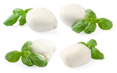 Mozzarella ve fesleğen beyaza izole edilmiş. İtalyan peyniri