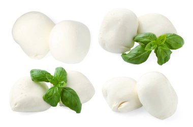 Mozzarella ve fesleğen beyaza izole edilmiş. İtalyan peyniri