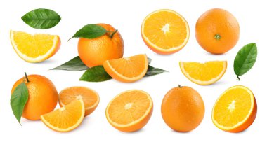 Taze portakallar ve yeşil yapraklar beyaz üzerine izole edilmiş.