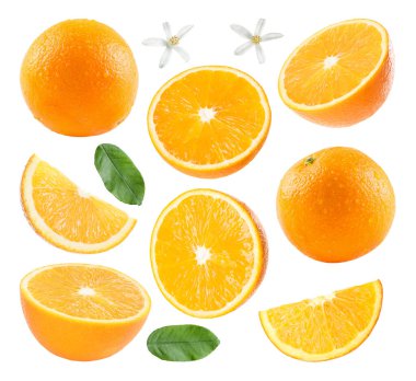 Taze portakallar, yeşil yapraklar ve çiçekler beyaz üzerine izole edilmiş.