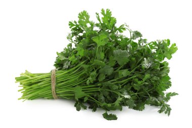 Bir grup taze kişniş beyaz üzerine izole edilmiş.