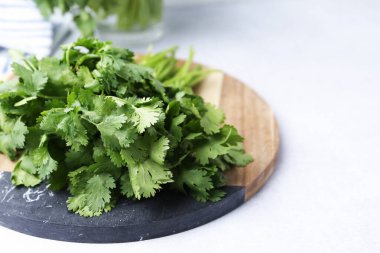 Işık masasında taze yeşil kişniş, yakın plan. Metin için boşluk