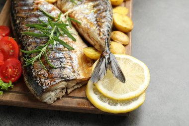 Gri masada baharatlı ve sebzeli kızarmış uskumrular, yakın plan. Ev yapımı deniz ürünleri yemeği.