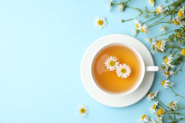 Lezzetli papatya çayı ve açık mavi arka planda çiçekler, düz yatış. Metin için boşluk