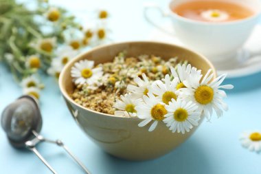 Kase içinde papatya çiçekleri açık mavi arka planda, yakın plan