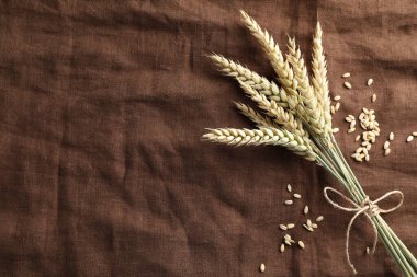 Kahverengi kumaş üzerinde buğday başakları ve tahıllar var. Metin için boşluk