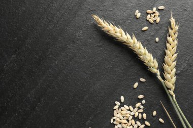 Buğday filizi ve tahıllar siyah masada, düz yerde. Metin için boşluk
