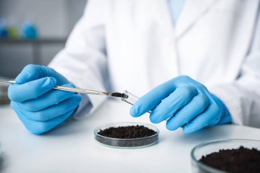 Bilim adamı, laboratuardaki beyaz masada araştırma yapmak için toprak örneği alıyor.