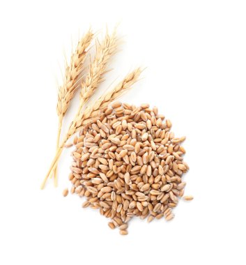 Beyaz arka planda buğday kulakları ve tahıllar, üst görünüm