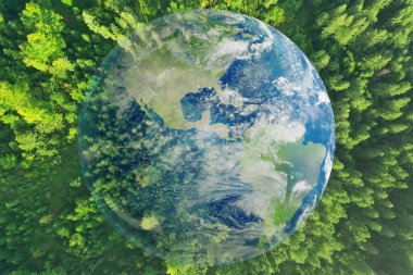 Çevre konsepti. Küre ve orman, çifte çekim.