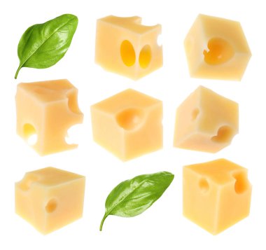 Peynir küpleri ve yeşil fesleğen yaprakları beyaz, hazır.