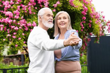 Güzel yaşlı çift, açık havada pembe güllerin arasında dans ediyor.