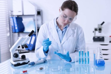 Laboratuvardaki masada Petri kabında numuneyle çalışan bilim adamı