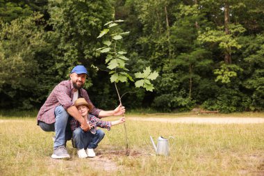 Baba ve oğlu dışarıda toprağa ağaç dikiyorlar. Yazmak için yer var.