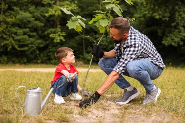 Baba ve oğlu dışarıda toprağa ağaç dikiyorlar.