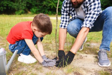 Baba ve oğlu dışarıda toprağa ağaç dikiyorlar, yakın plan.