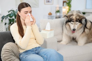 Evde köpeğine alerjisi olan bir kadın.