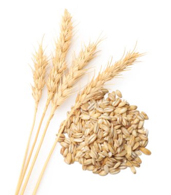 Beyaz arka planda buğday taneleri ve dikenler, üst görünüm