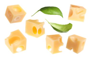 Peynir küpleri ve yeşil fesleğen yaprakları beyaz, hazır.