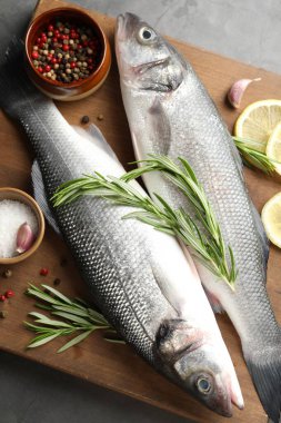 Gri masadaki baharatlı taze çiğ deniz kabuğu. Balık ve deniz ürünleri lezzetleri