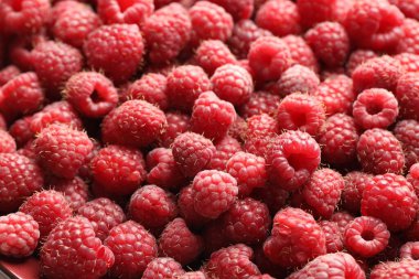 Many fresh ripe raspberries as background, closeup