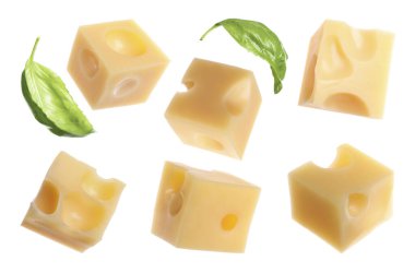 Peynir küpleri ve yeşil fesleğen yaprakları beyaz, hazır.