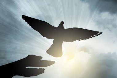 Kadının ellerinden uçan güvercin gökyüzüne karşı güneş ve bulutlarla