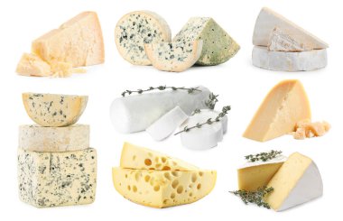 Beyazlar üzerinde izole edilmiş farklı peynir çeşitleri.