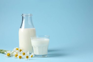 Şişede taze süt, açık mavi arka planda cam ve papatya çiçekleri, mesaj için yer. Süt ürünleri