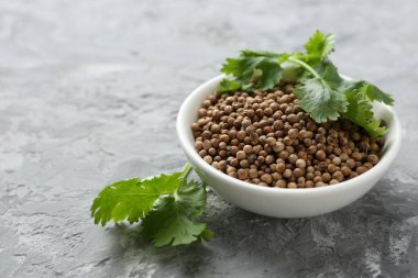 Kasede kişniş tohumu ve gri desenli masada taze kişniş filizi, yakın plan. Metin için boşluk