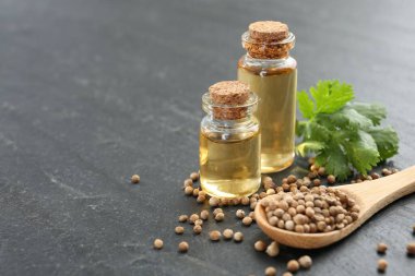 Şişelerdeki romatik yağ, kişniş yaprakları ve koyu dokulu masada kişniş tohumları, yakın çekim. Metin için boşluk