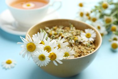 Kase içinde papatya çiçekleri açık mavi arka planda, yakın plan