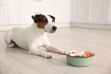 Şirin köpek ve çanak evde taze doğal ürünlerle dolu, seçici bir odak noktası. Evcil hayvan maması.