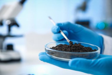 Bilim adamı, laboratuardaki beyaz masada araştırma yapmak için toprak örneği alıyor.